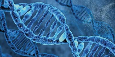 剛宣布重組4天后就終止 兩大醫(yī)療信息化龍頭引爭(zhēng)議