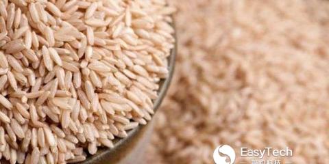 養(yǎng)生指南：適當春捂增加運動 多喝粥養(yǎng)脾胃有好處