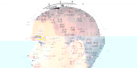 學(xué)用經(jīng)絡(luò)養(yǎng)生法 健康養(yǎng)生延年益壽不是夢