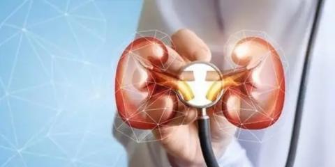 痛風患者九項護腎法則