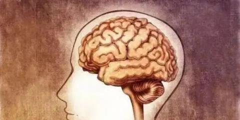 慢病管不好，大腦會(huì)變小