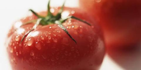 不同體質(zhì)的身體需要哪些食物來進(jìn)補(bǔ)？