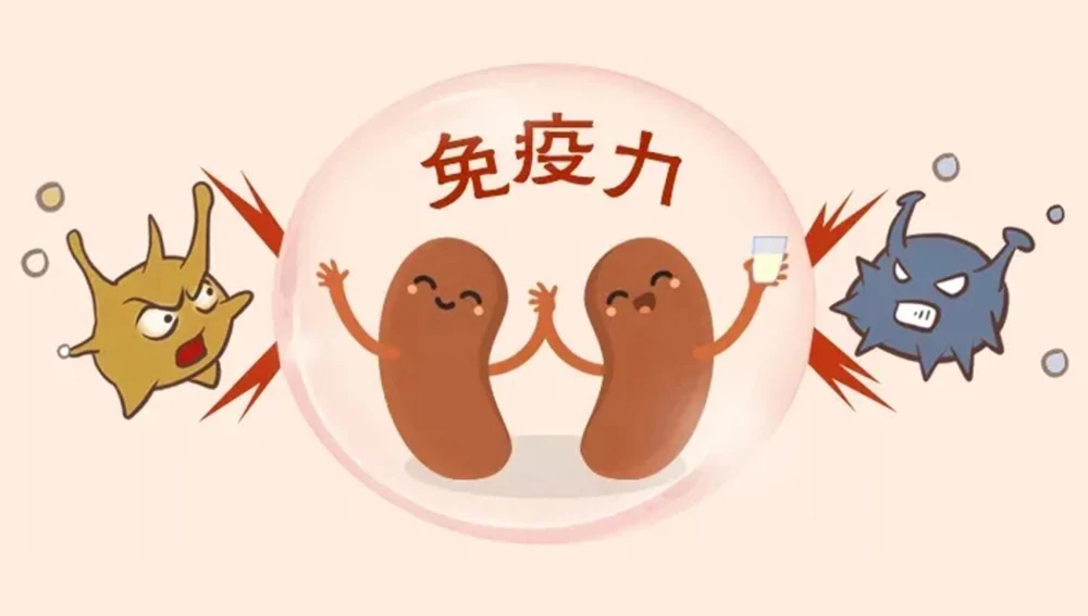 中醫(yī)解析什么是“免疫力”，如何提高免疫力！