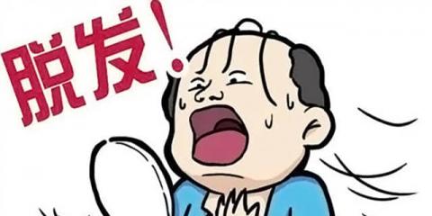 挺“禿然”的！為什么一到秋天就掉頭發(fā)？